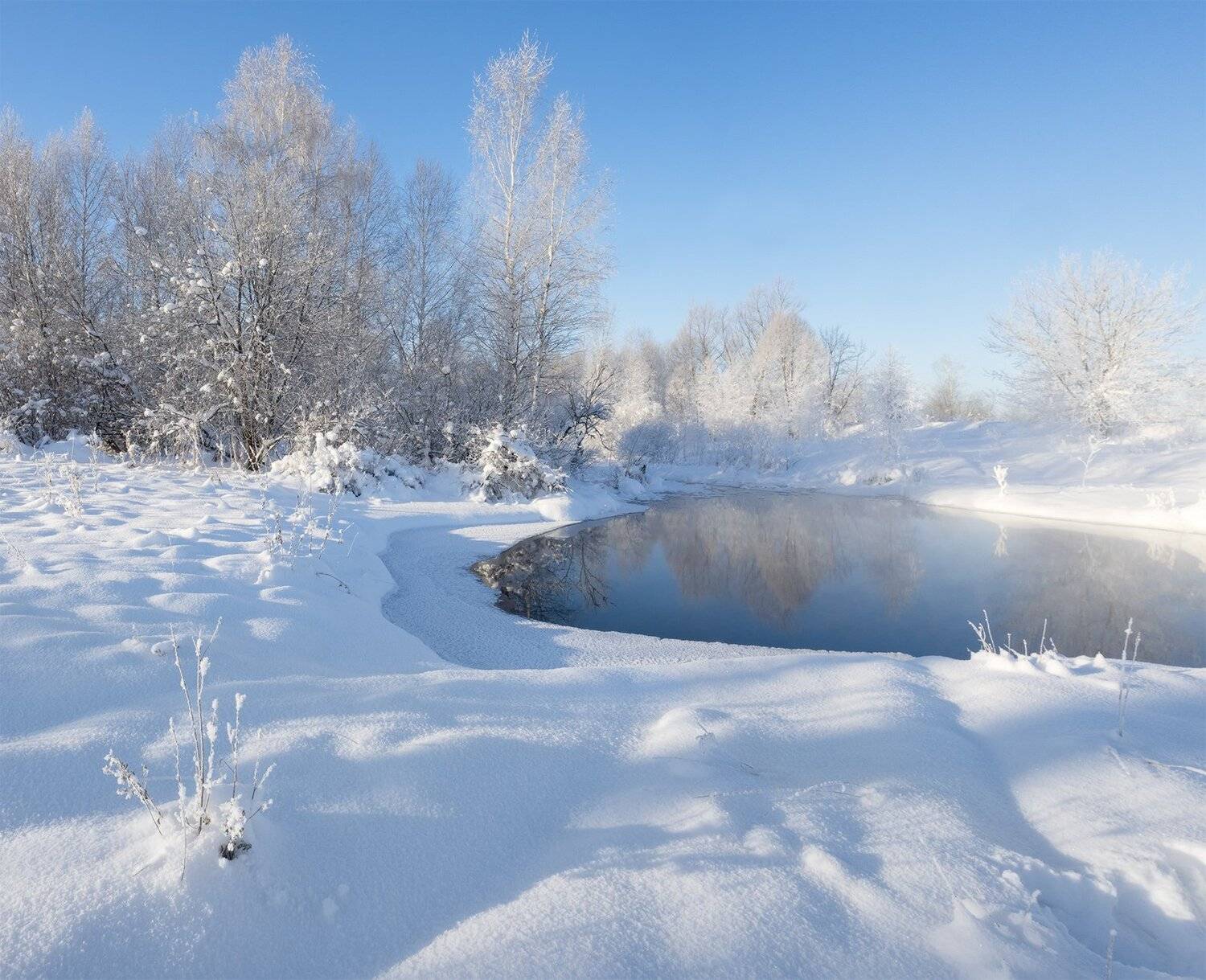 , Лещёнок Александр