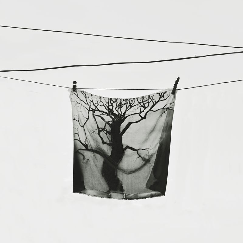 минимализм, провода, чб, черно-белое, ч/б, анна салтыкова, птицы Нити фото превью