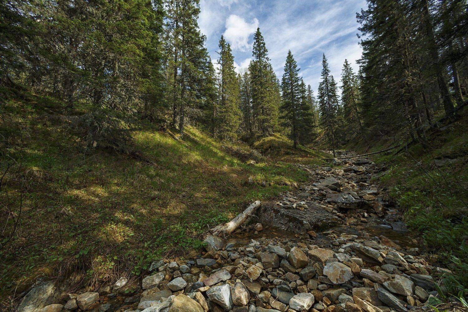 , Шевченко Николай