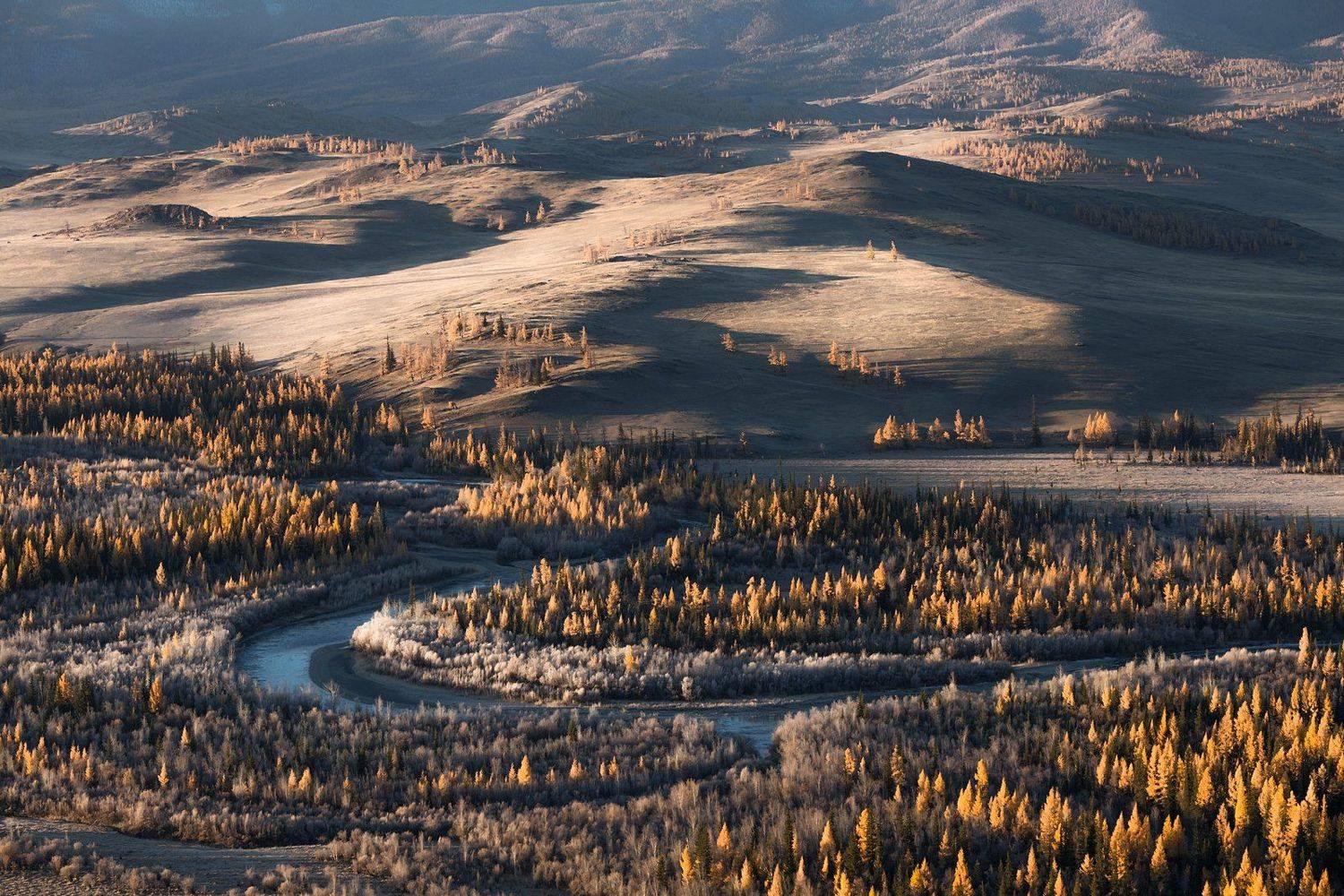 , Виктор Зайцев