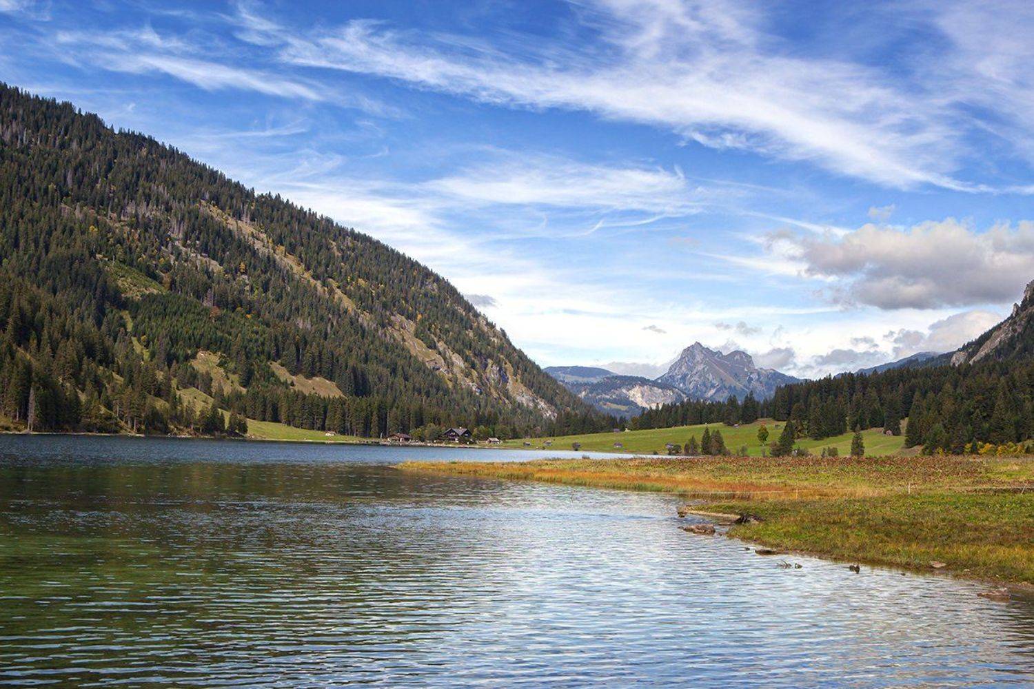 , Игорь Дубровский