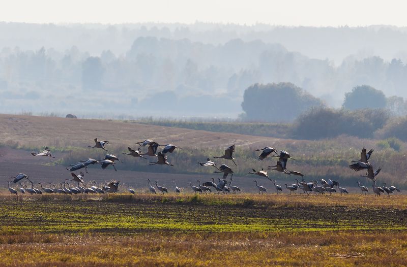 Трогательные моменты прощания фото превью