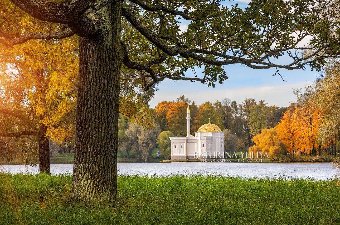 санкт-петербург, царское село, турецкая баня, баня, дуб, осень, Юлия Батурина