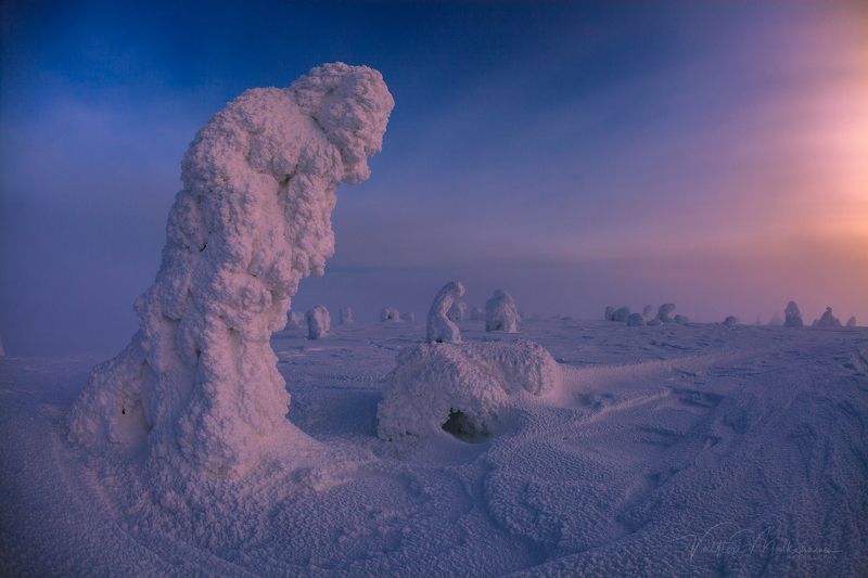 Вечернее солнце Лапландии ... фото превью