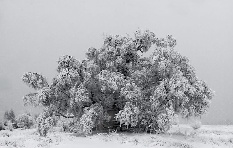 Зима фото превью