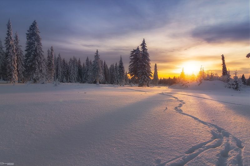 Следы на снегу фото превью