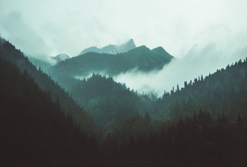 /\\/\\/\\/\\/\\ фото превью
