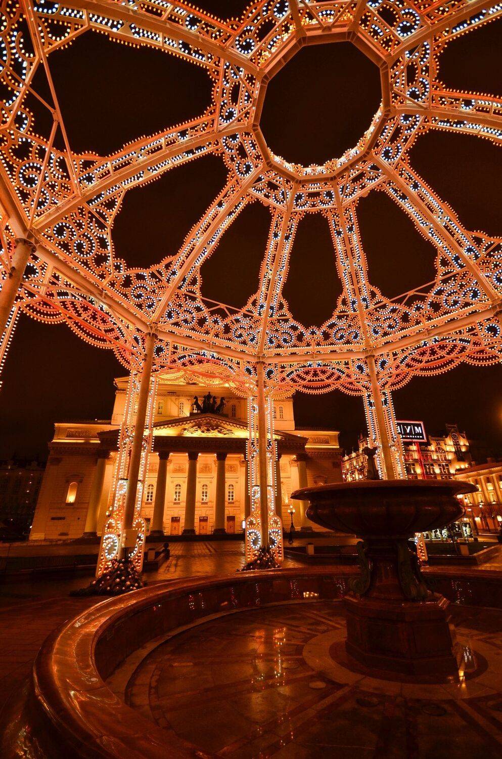 новый год, большой театр, Елена Шевченко