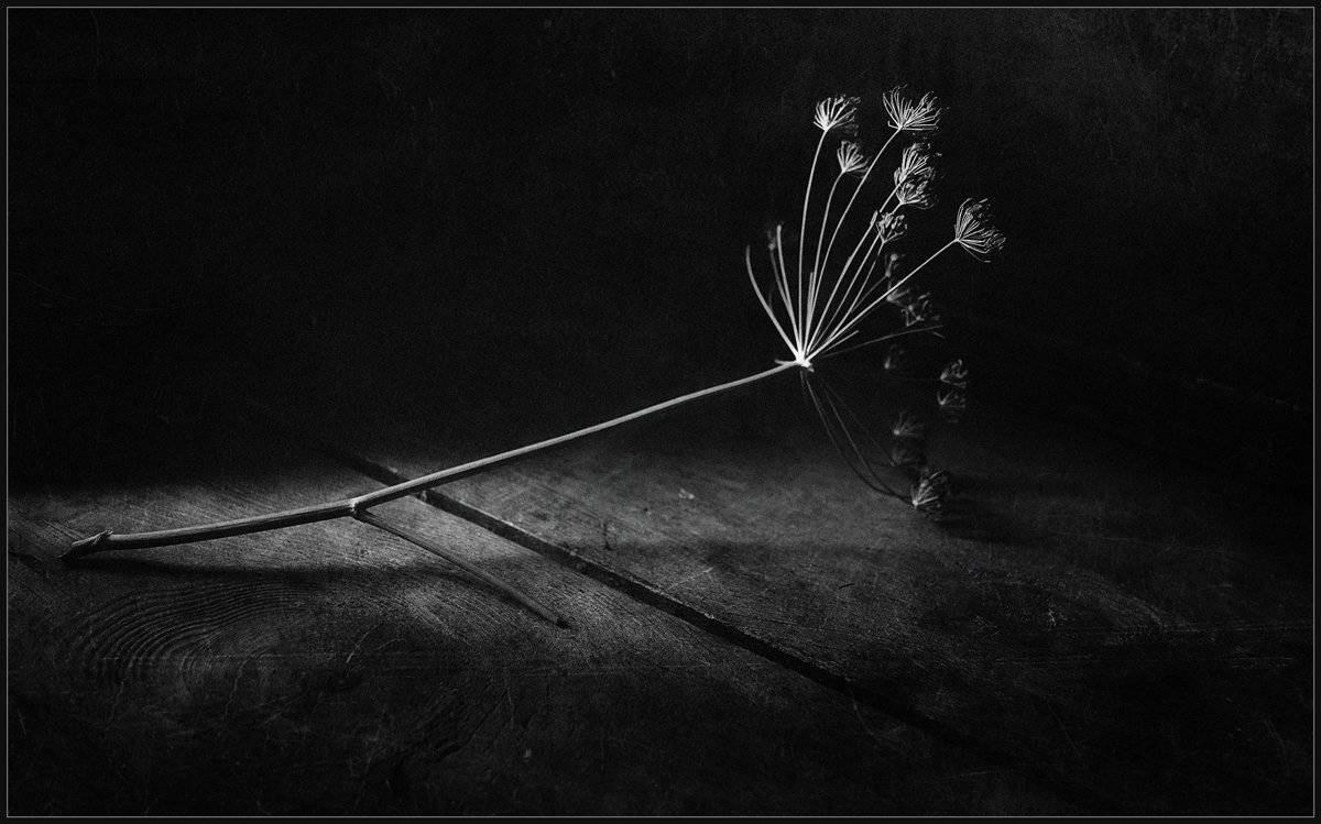 , Александр Хромеев