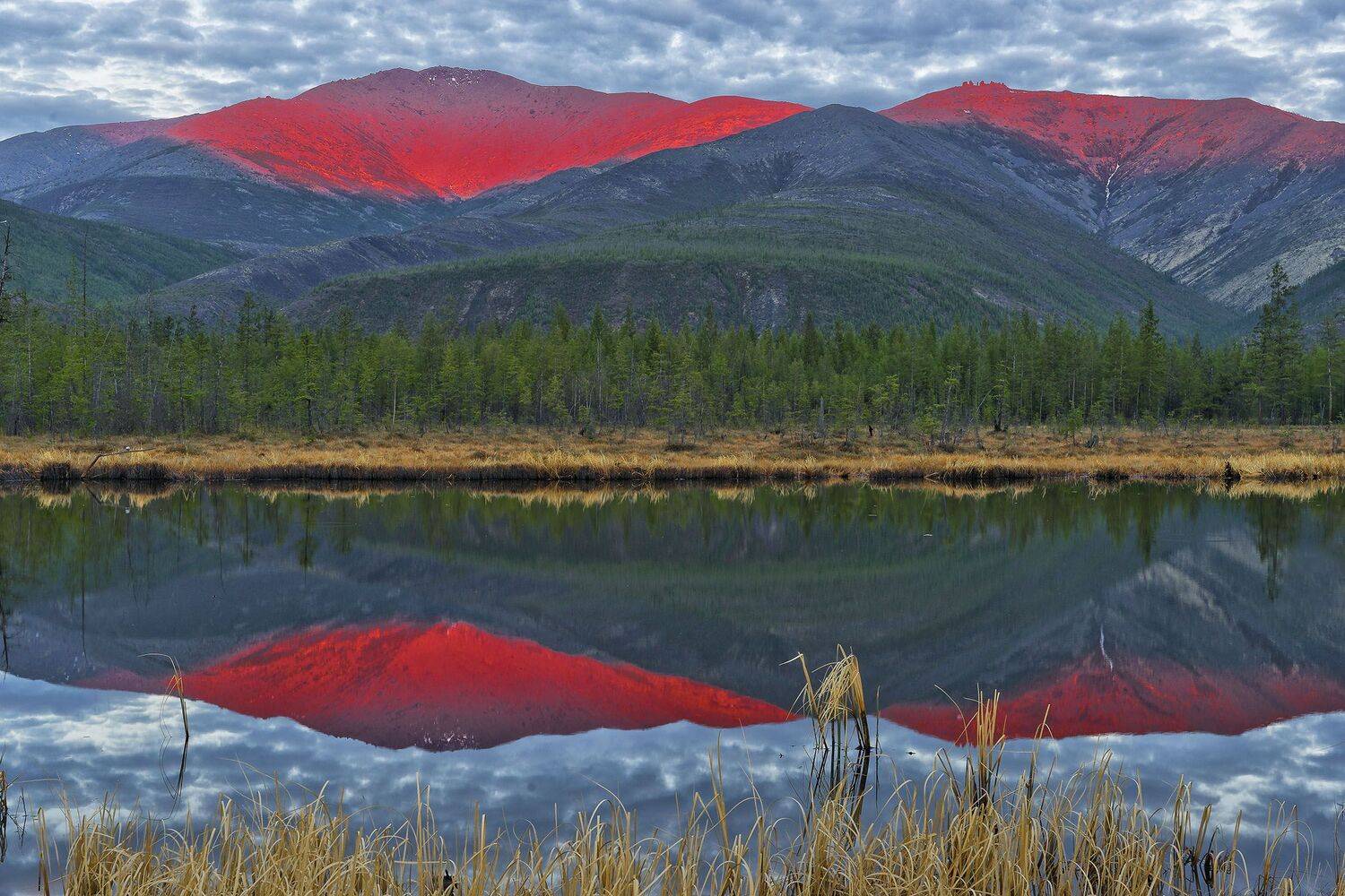 Фототуры с Владимиром Рябковым, пейзажи Индигирки, пейзажи Якутии., Владимир Рябков