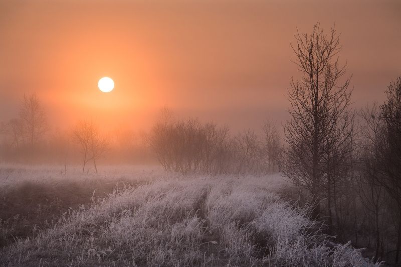 * фото превью