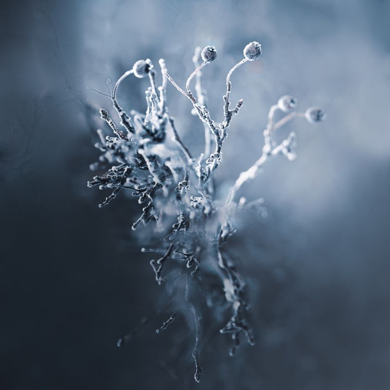 ...зимняя драма фото превью