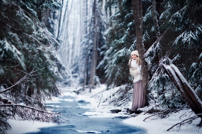 Сказочный лес. фото превью