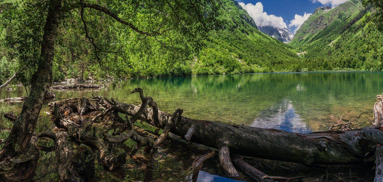 , Игорь Мелекесцев