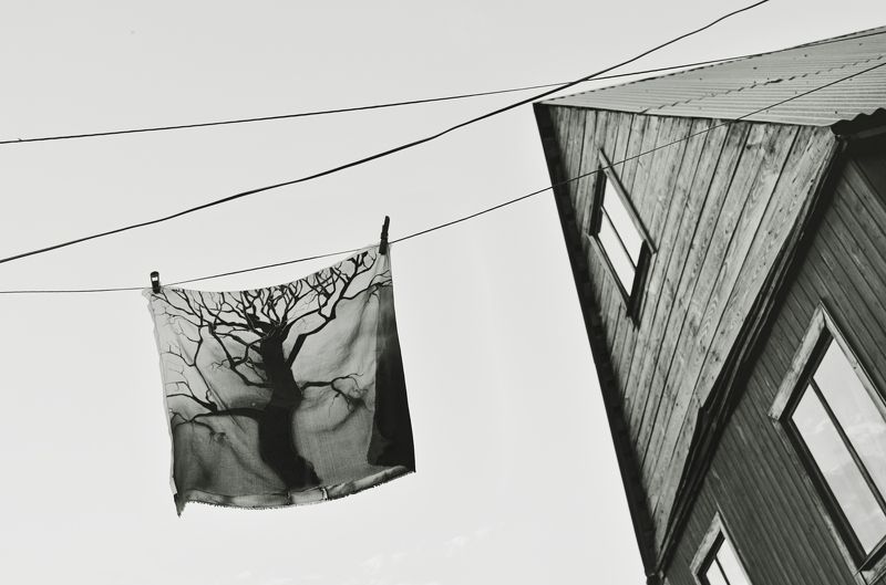 дом, чб, ч/б, анна салтыкова, батик, дерево, небо, провода Знамя фото превью