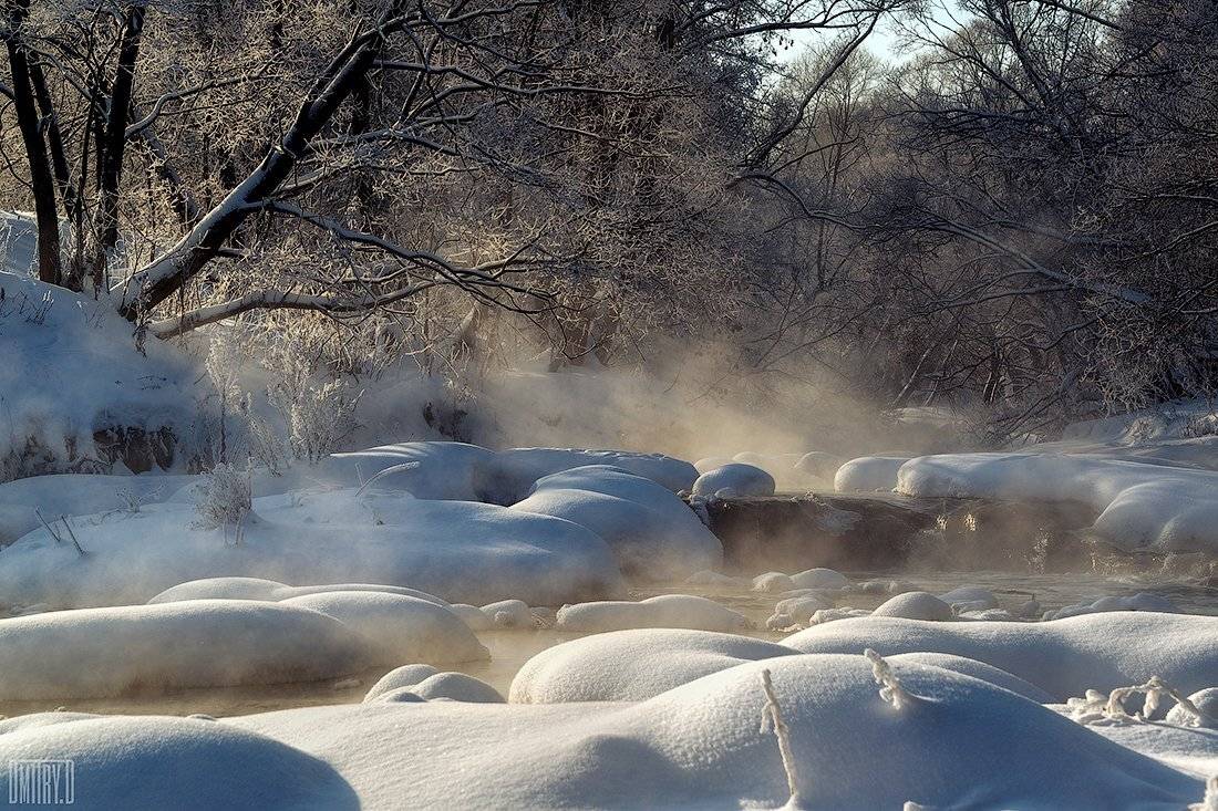 , Дмитрий Доронин