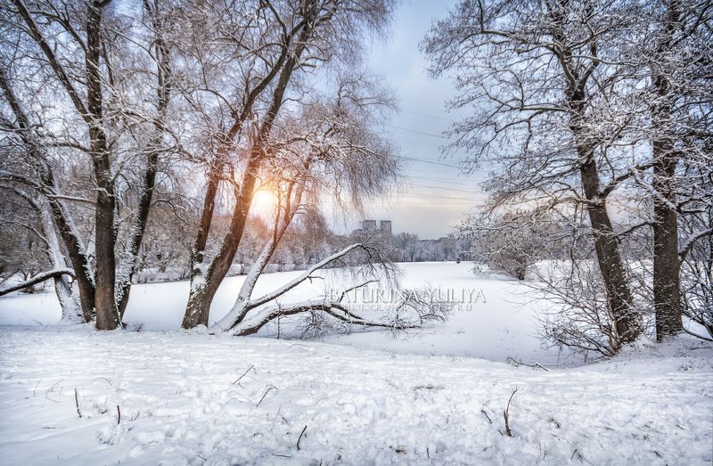 Зима в городском парке фото превью