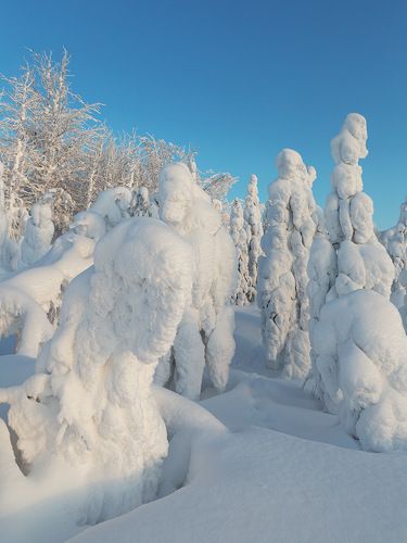 СНЕЖНОЕ ВЕЛИКОЛЕПИЕ