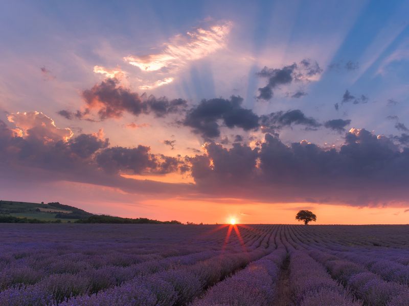 Летни спомени 2 фото превью