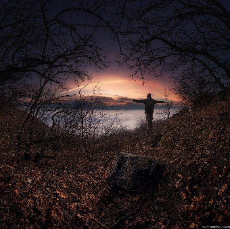 Nature eye фото превью