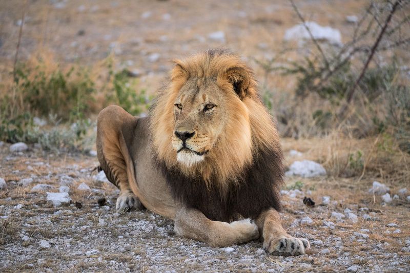 Вас анфас или в профиль? фото превью