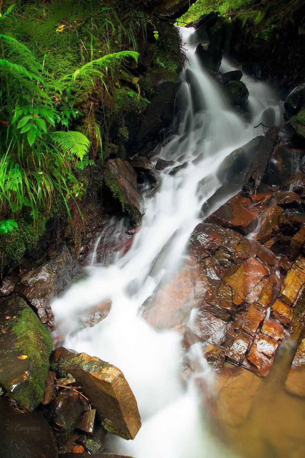 nature, landscape, mountains, water, spring, carpathians, ukraine, Emyan
