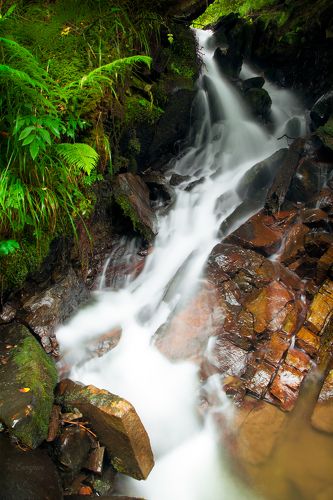 Музыка ручья