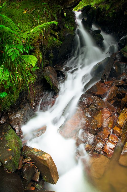 nature, landscape, mountains, water, spring, carpathians, ukraine Музыка ручья фото превью