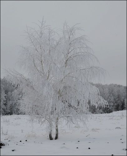 На просторах России
