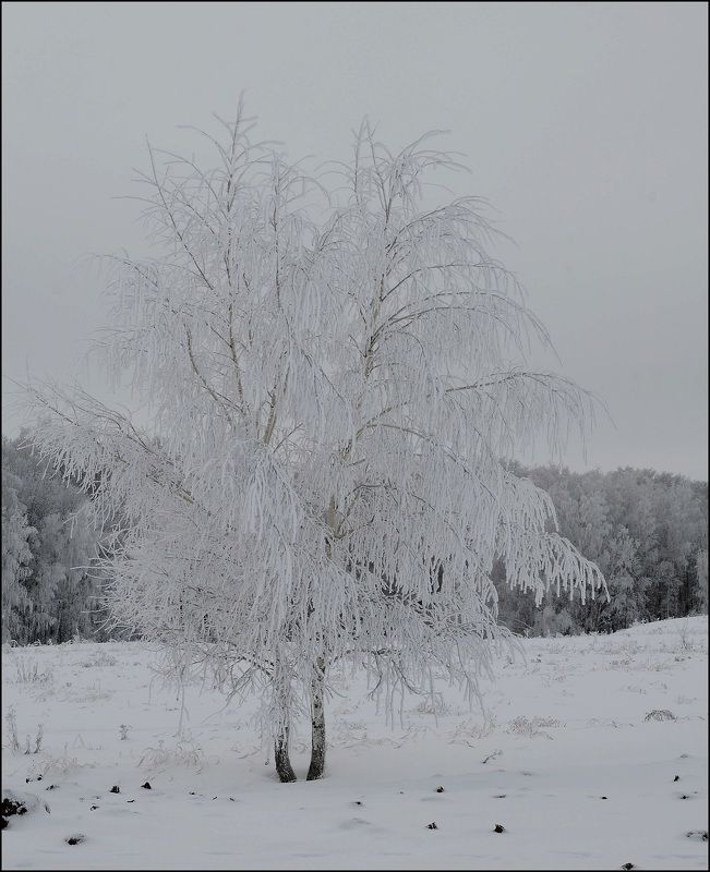 Россия,зима,снег На просторах России фото превью