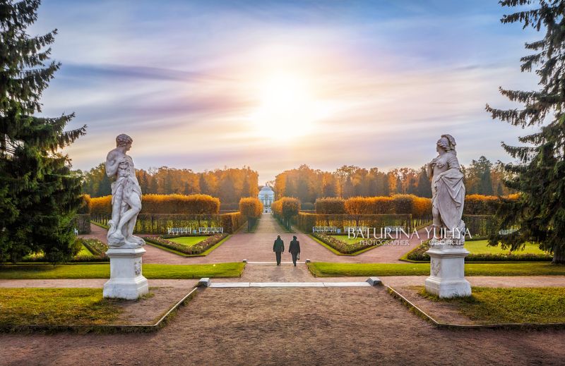 Навстречу солнцу фото превью