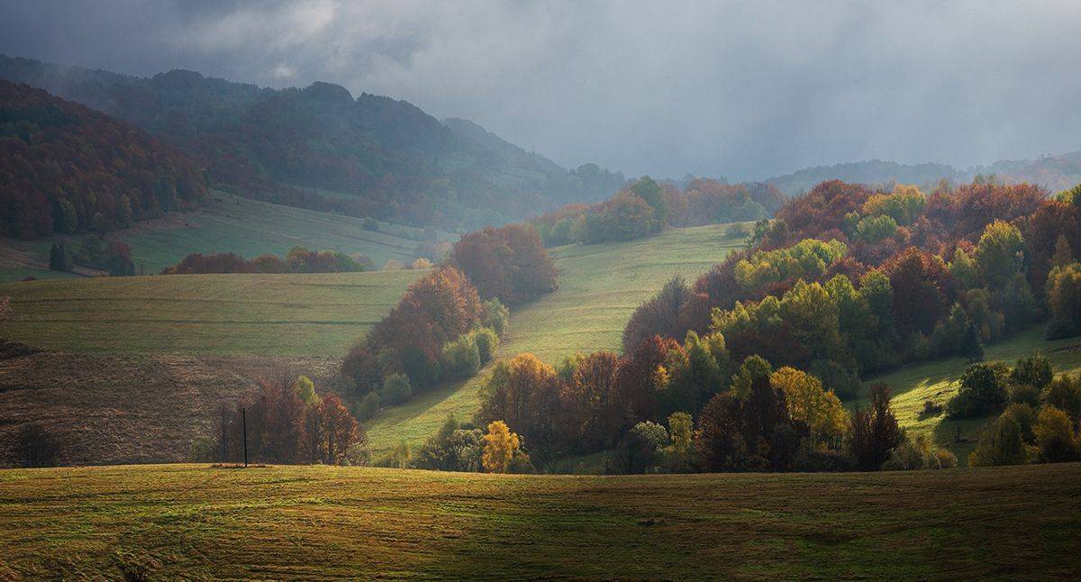 , Sławek Przybylski