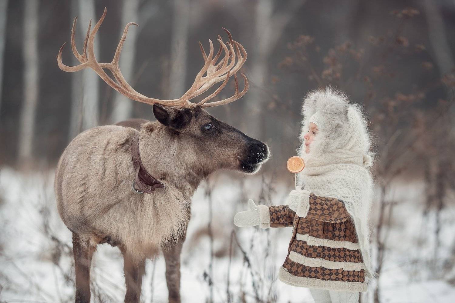 , Юлия Кубар