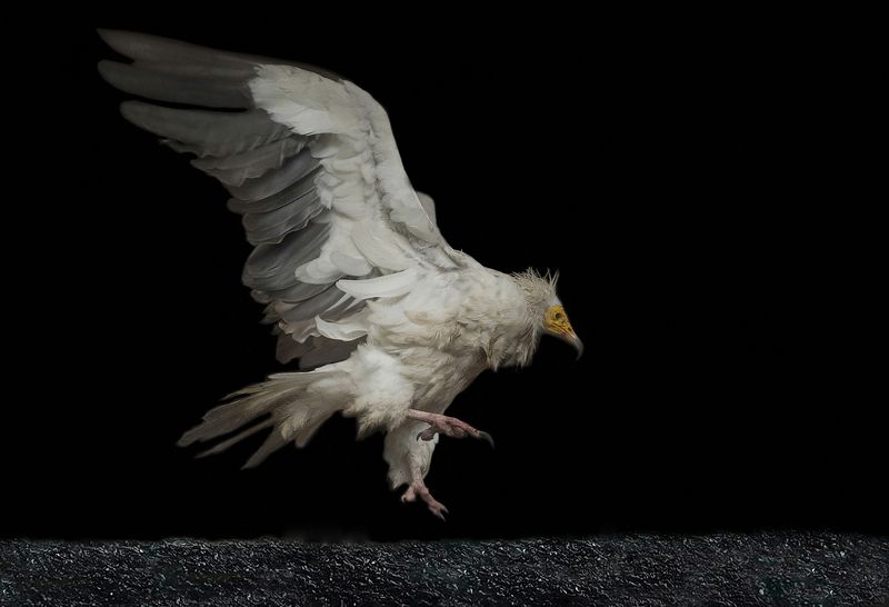 Late afternoon фото превью