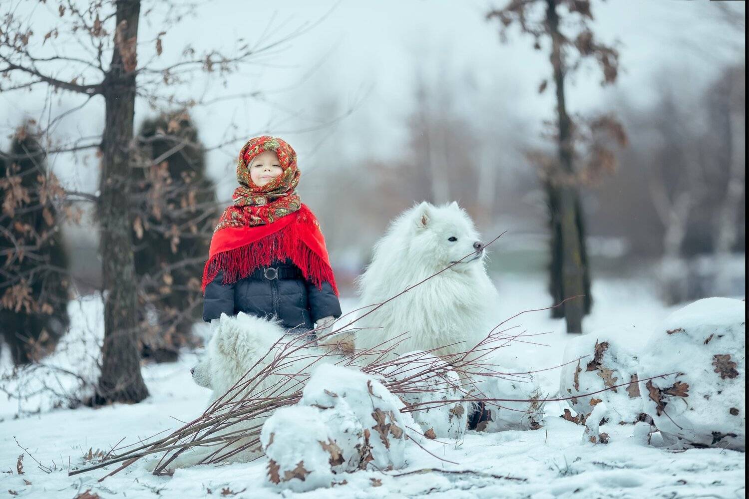 , Катерина Киреева