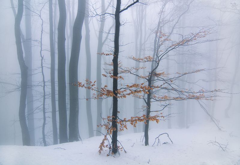 Мгла фото превью