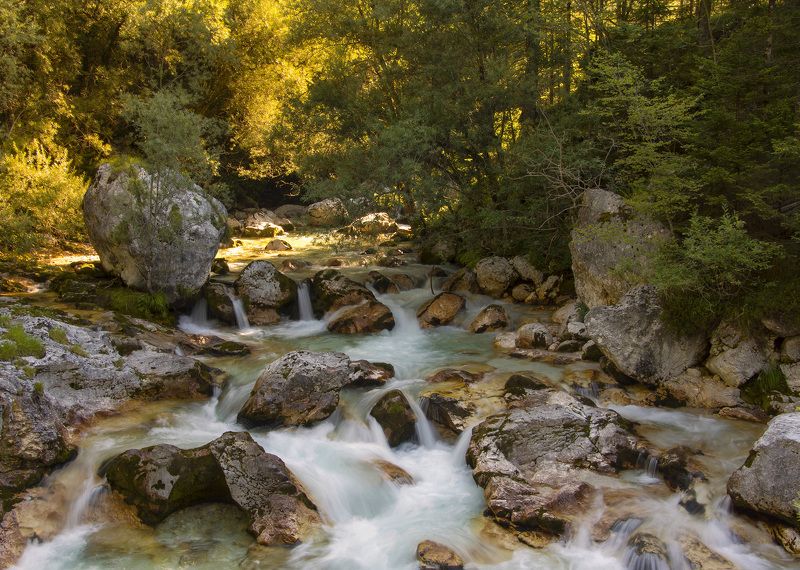 Morning by the river фото превью