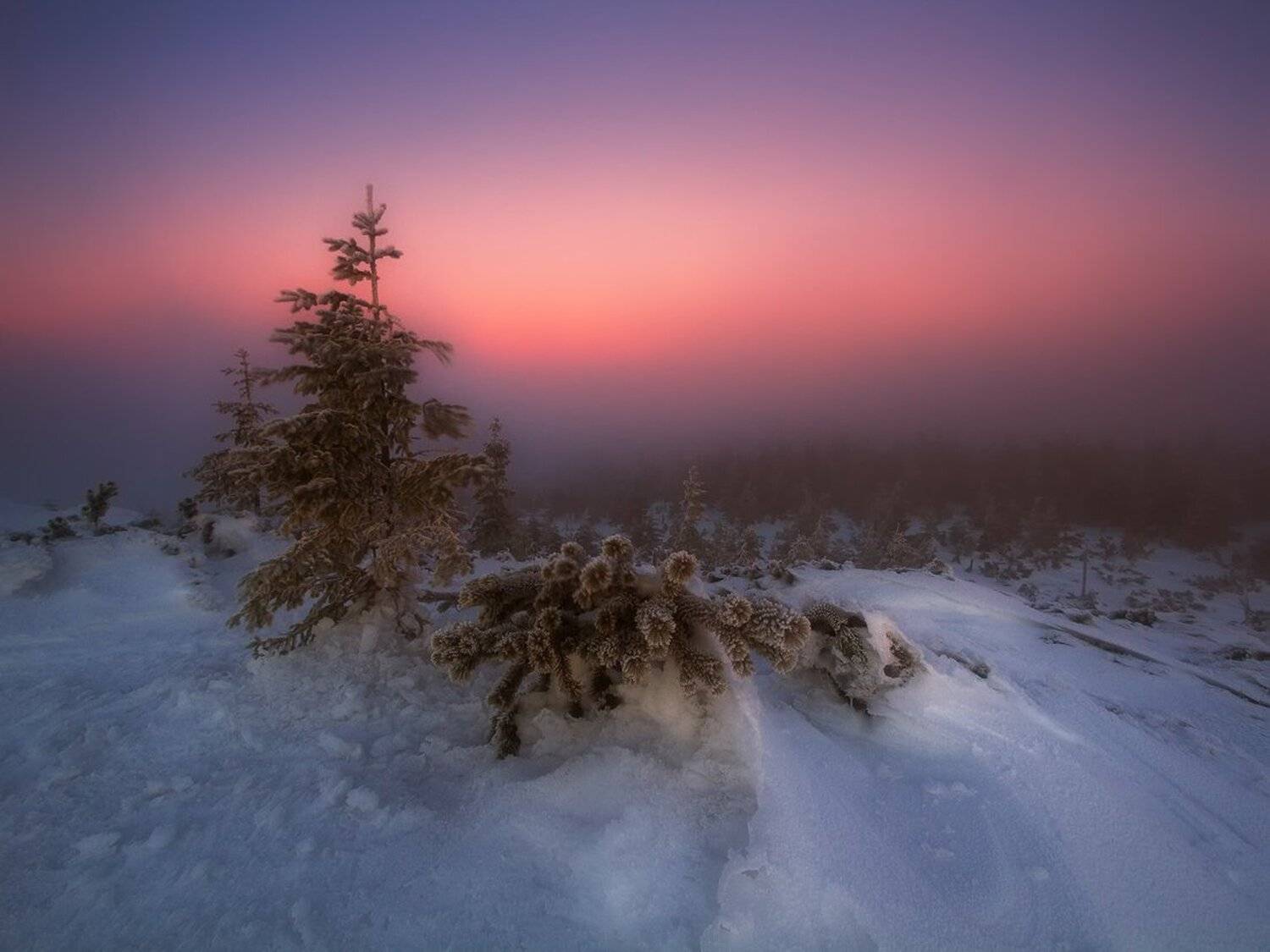 landscape,canon,winter, Iza i Darek Mitręga
