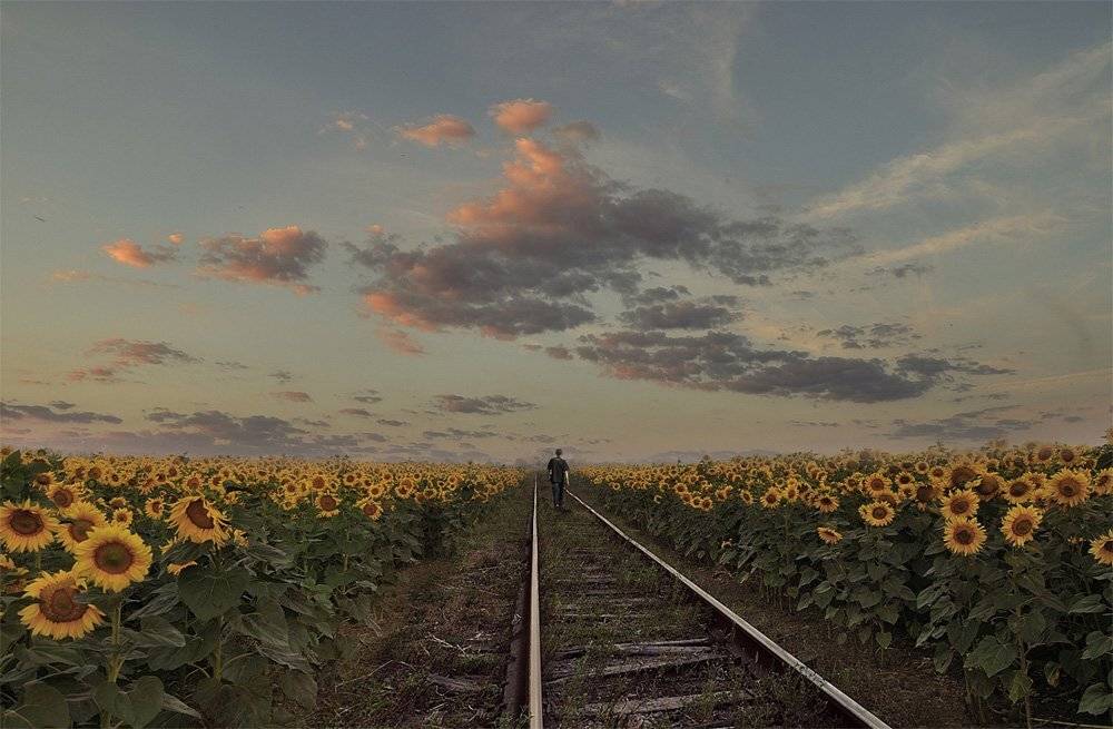 , Дeнис Бoдрoв