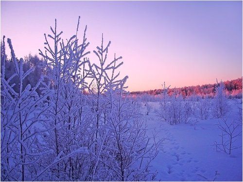 Путешествие в страну HOARFROST