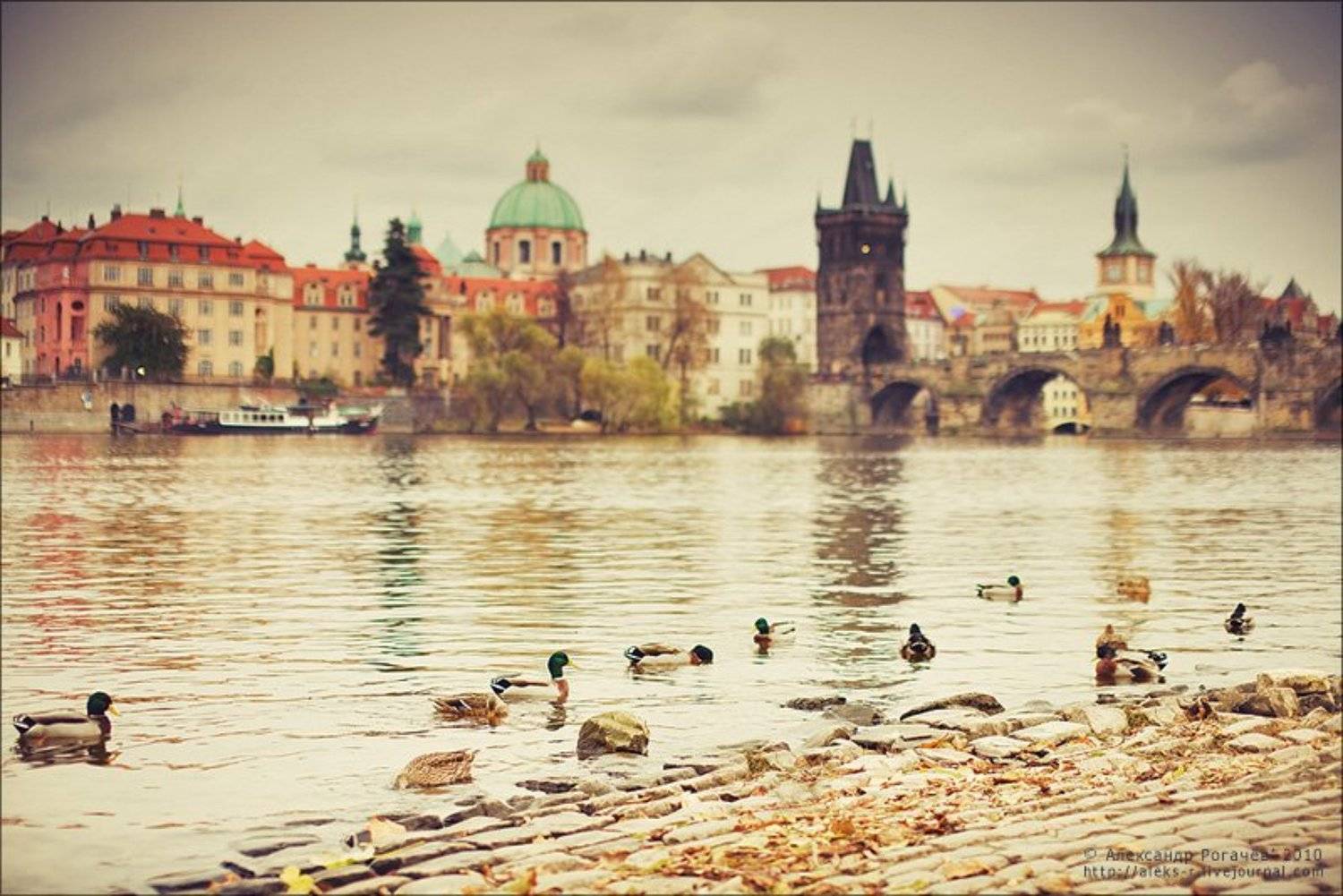 прага,октябрь,осень, Александр Рогачёв