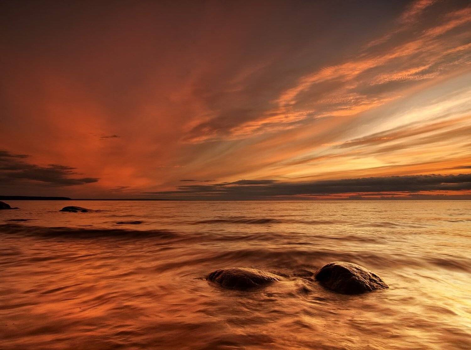 , Максим Евдокимов