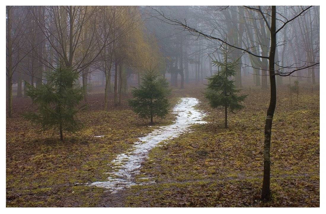 , Николай Шахманцир