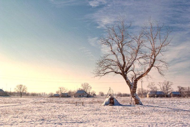 *** фото превью