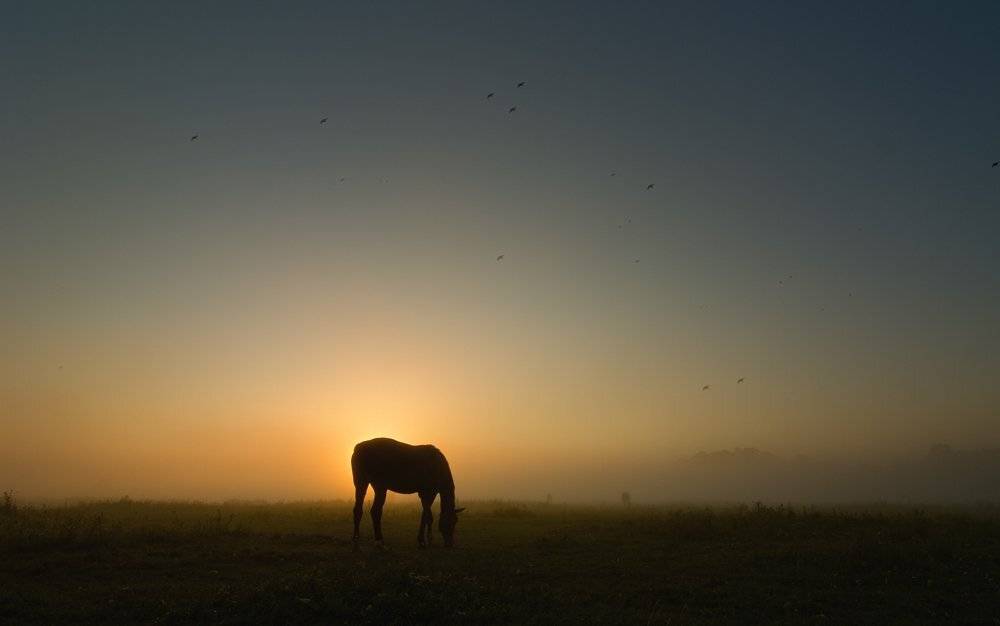 , Александр Титаренко
