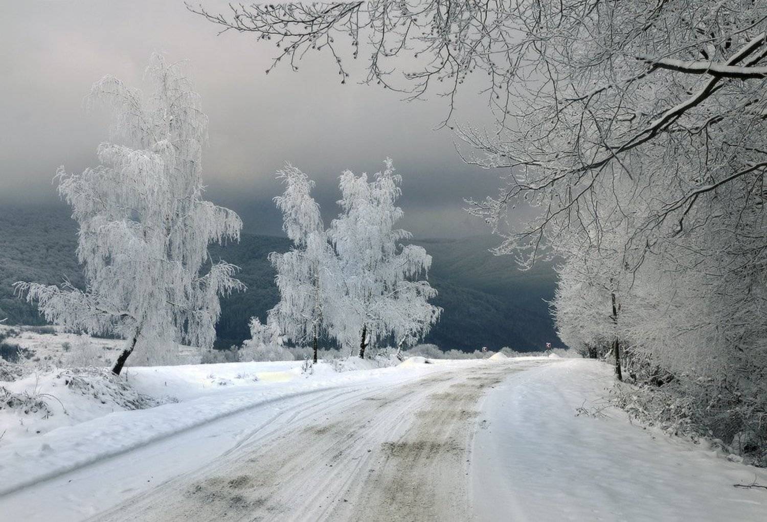 , Леонид Закревский