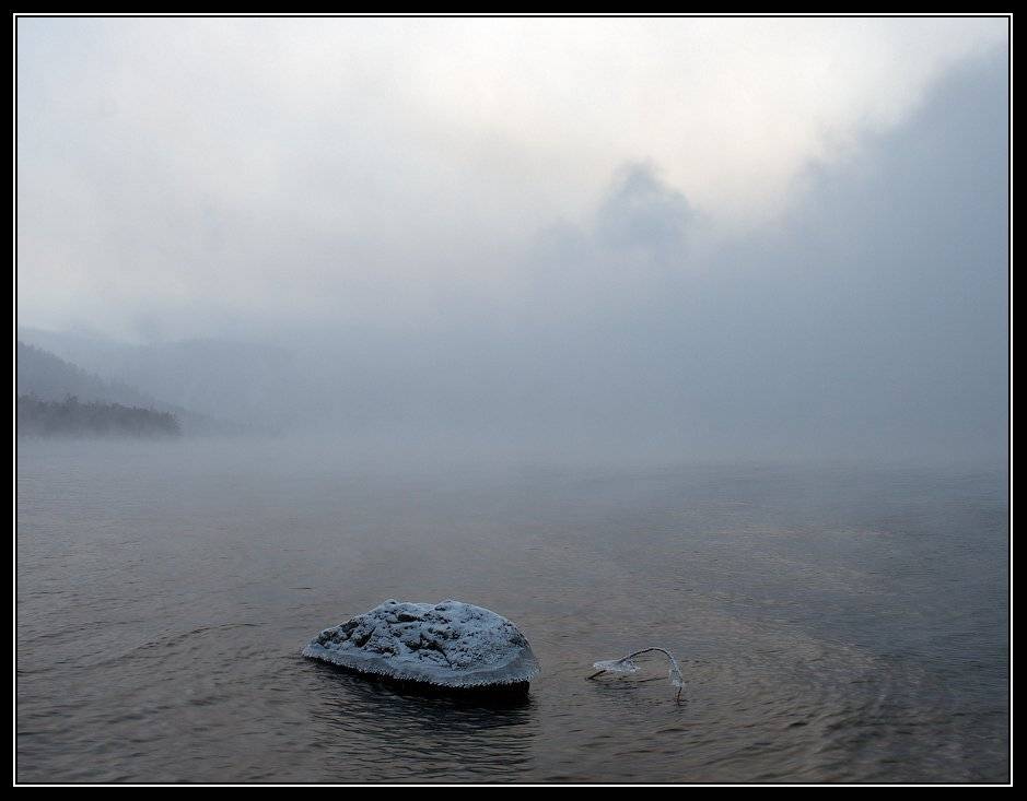 алтай, телецкое, озеро, Юрий Фролов