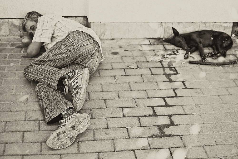 улица, человек, собака, друг, ч/б,, Надежда