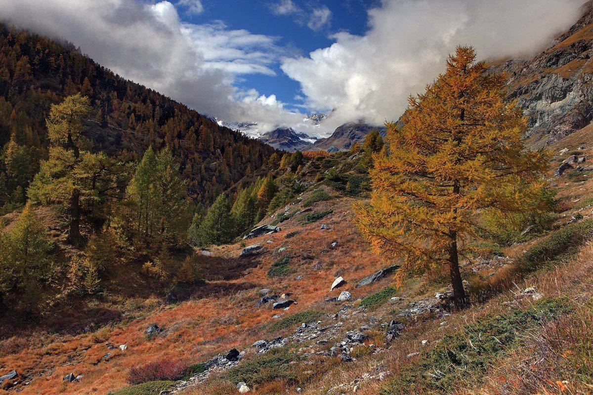zermatt, Матвеев Николай
