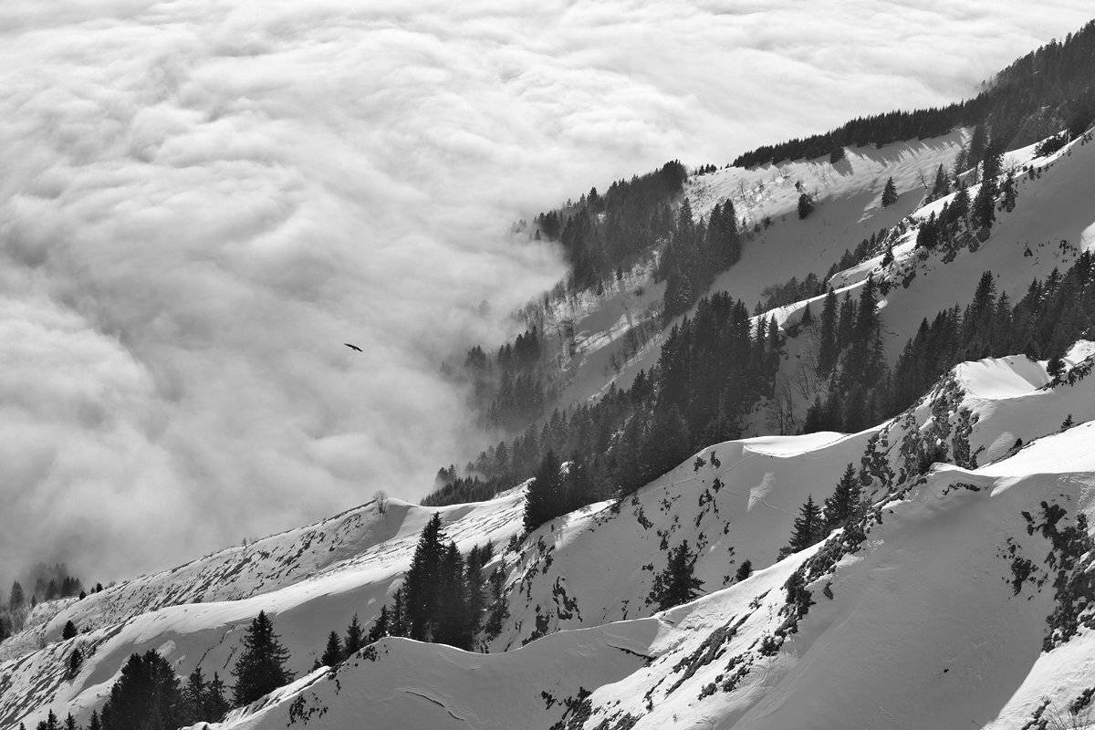 roche, du, naye, Матвеев Николай